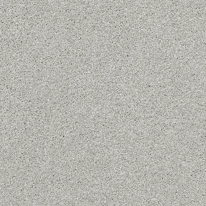 Shaw Floors Always Ready I — Vapor · E9717-00570 — flooring selection with LeviArs Design & Remodeling