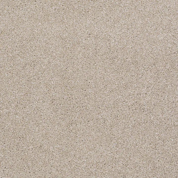 Shaw Floors Always Ready II — Balanced Beige · E9718-00193 — flooring selection with LeviArs Design & Remodeling