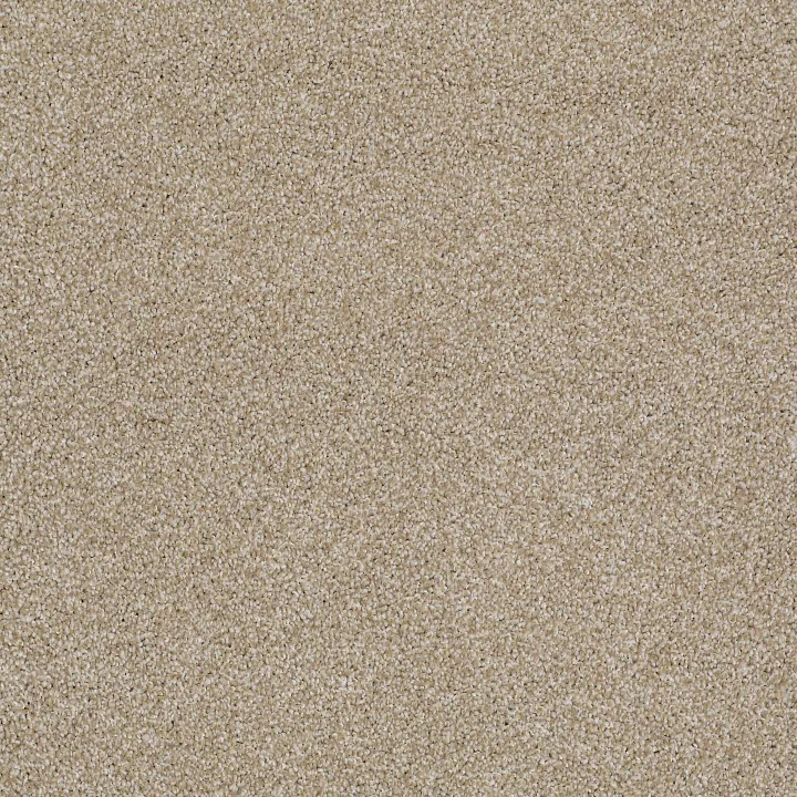 Shaw Floors Always Ready II — Biscotti · E9718-00791 — flooring selection with LeviArs Design & Remodeling
