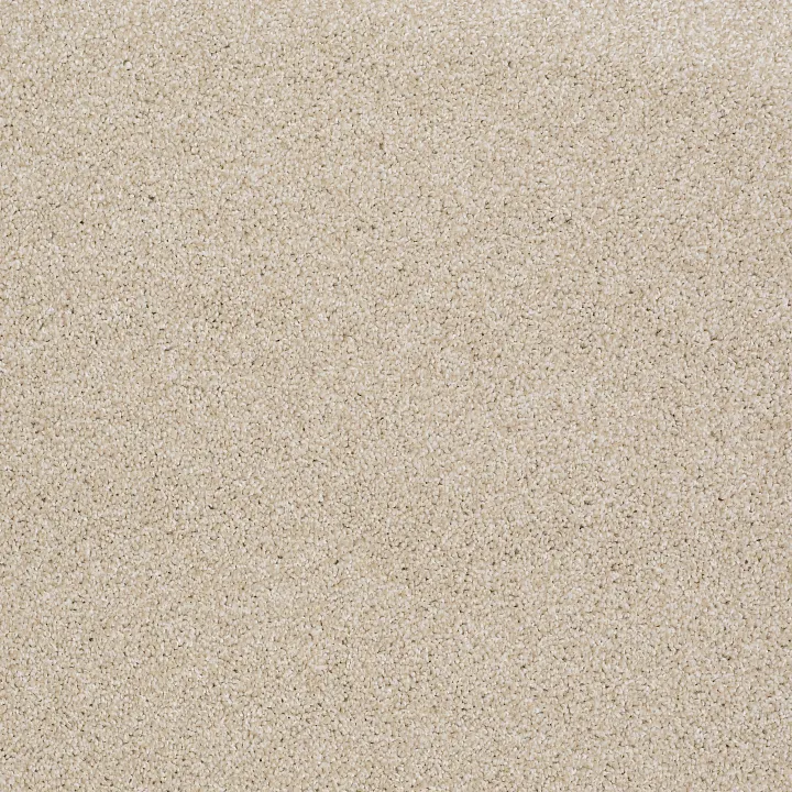 Shaw Floors Always Ready II — Boutique · E9718-00191 — flooring selection with LeviArs Design & Remodeling