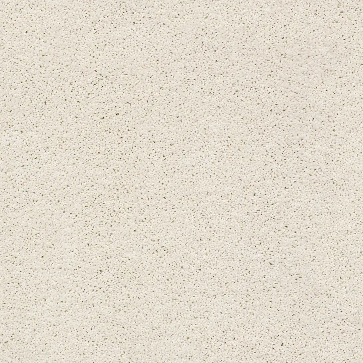 Shaw Floors Always Ready II — Crisp Linen · E9718-00171 — flooring selection with LeviArs Design & Remodeling