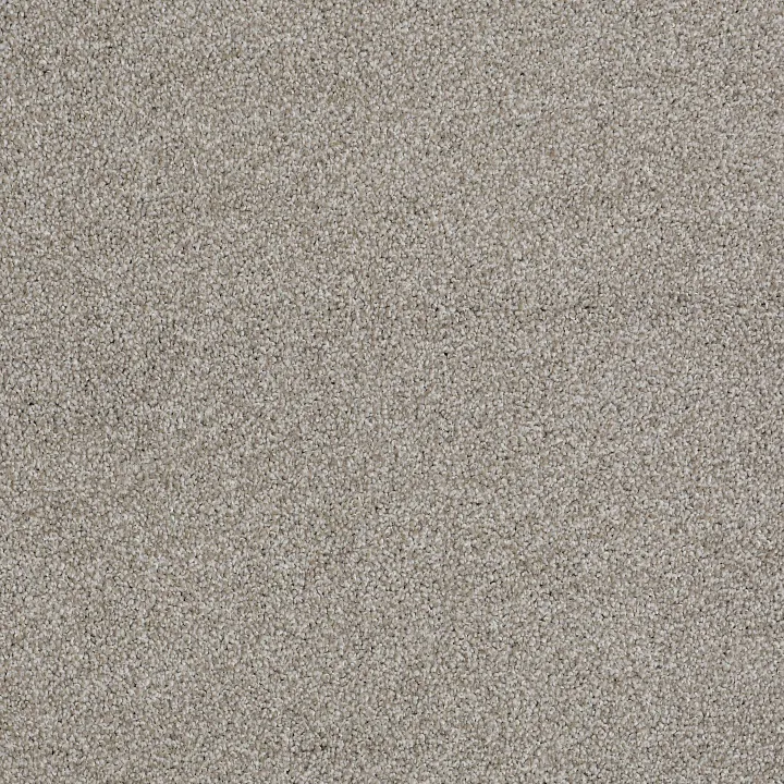 Shaw Floors Always Ready II — Crystal Haze · E9718-00590 — flooring selection with LeviArs Design & Remodeling