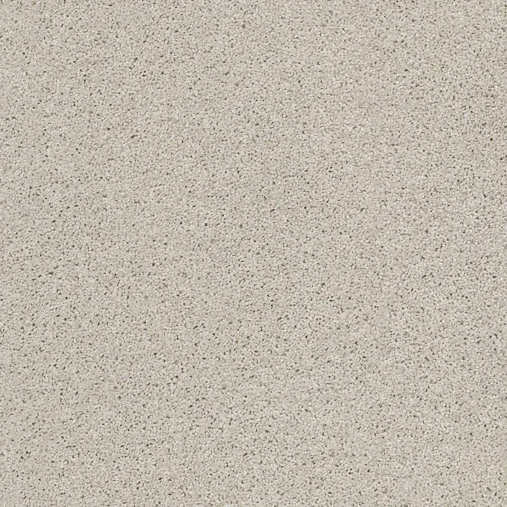 Shaw Floors Always Ready II — Etched Glass · E9718-00172 — flooring selection with LeviArs Design & Remodeling