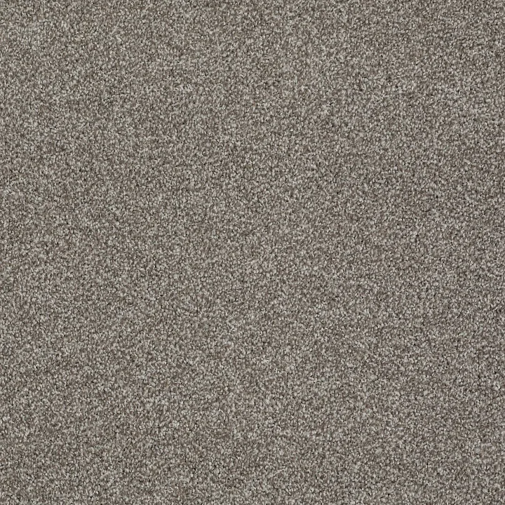 Shaw Floors Always Ready II — Flint Stone · E9718-00793 — flooring selection with LeviArs Design & Remodeling