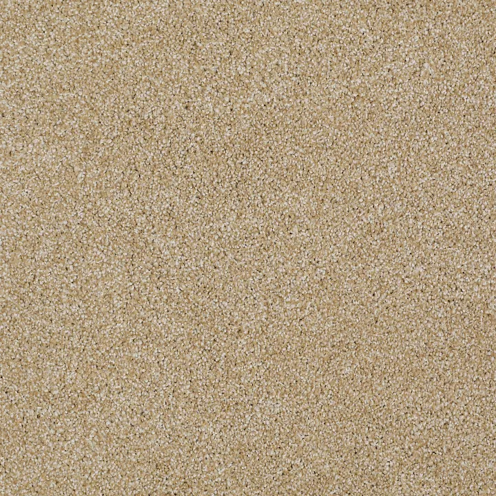 Shaw Floors Always Ready II — Gold Rush · E9718-00290 — flooring selection with LeviArs Design & Remodeling