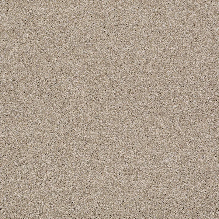 Shaw Floors Always Ready II — Park Place · E9718-00192 — flooring selection with LeviArs Design & Remodeling
