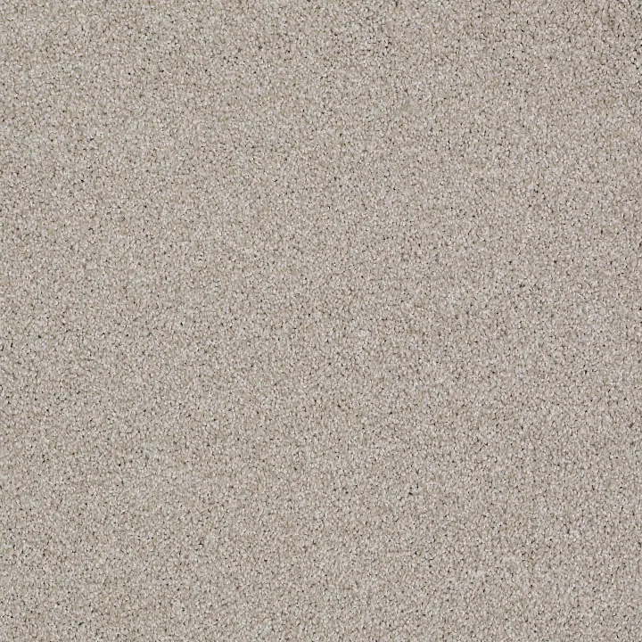 Shaw Floors Always Ready II — Realist · E9718-00196 — flooring selection with LeviArs Design & Remodeling