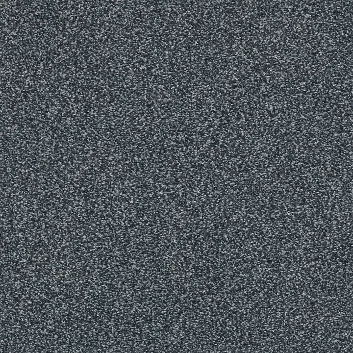 Shaw Floors Always Ready II — Royal Navy · E9718-00471 — flooring selection with LeviArs Design & Remodeling