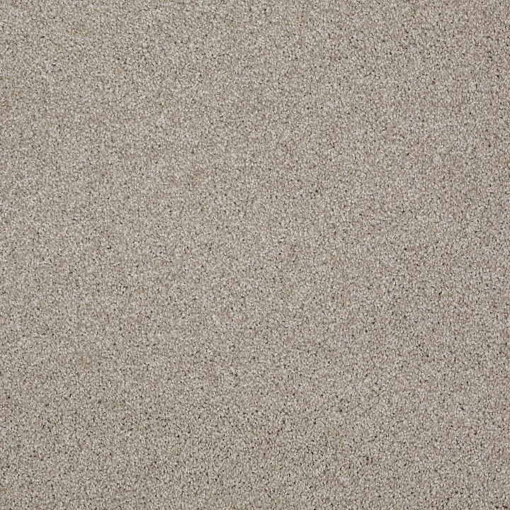 Shaw Floors Always Ready II — Studio Taupe · E9718-00194 — flooring selection with LeviArs Design & Remodeling