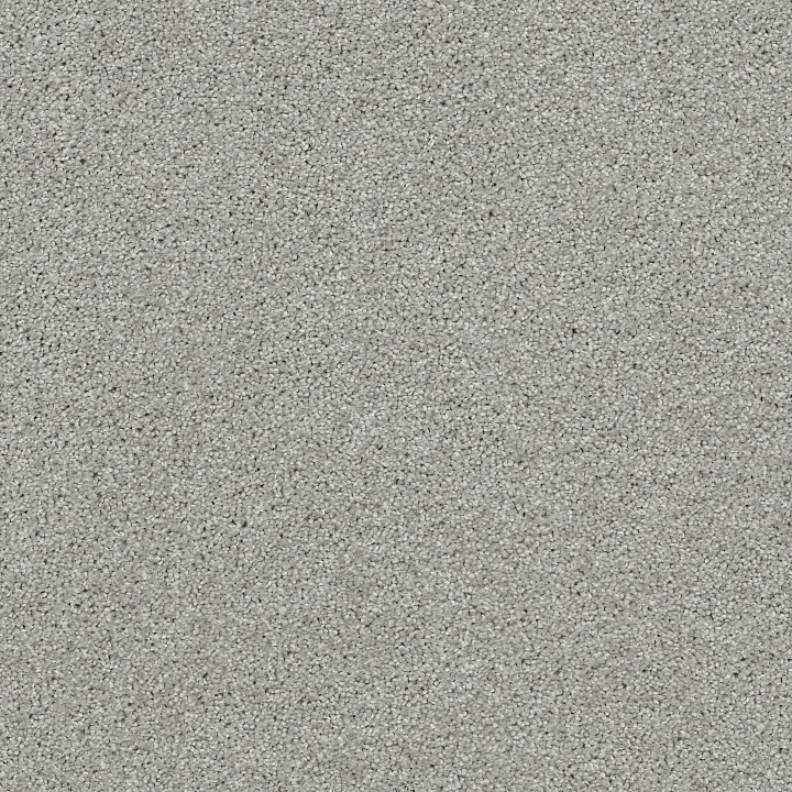 Shaw Floors Always Ready II — Vapor · E9718-00570 — flooring selection with LeviArs Design & Remodeling
