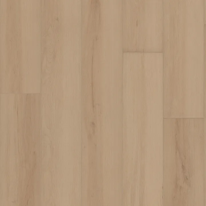 Shaw Floors Ambition — Champagne · 3425V-02126 — flooring selection with LeviArs Design & Remodeling
