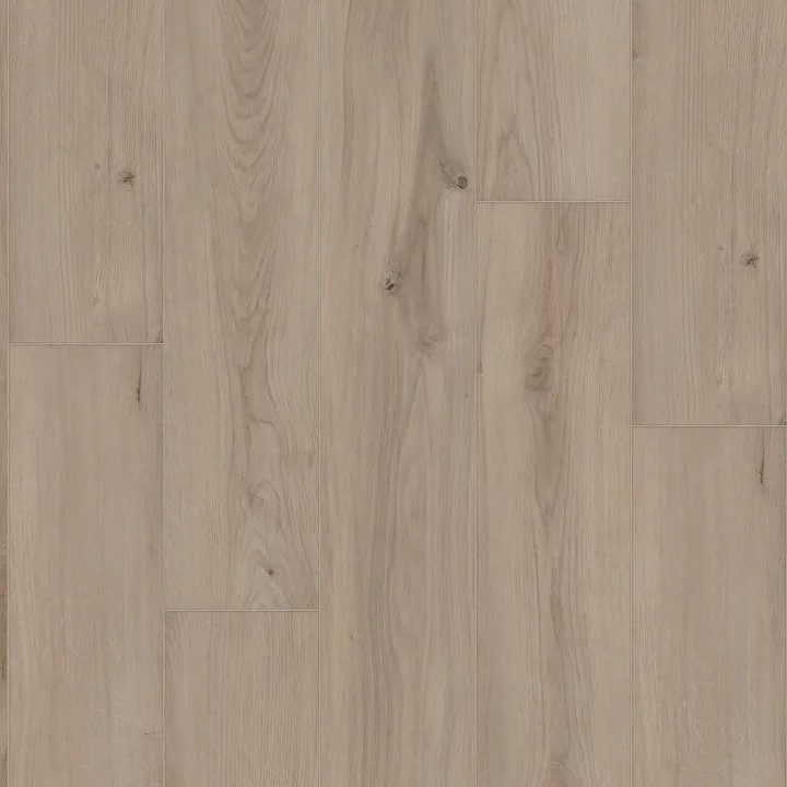 Shaw Floors Ambition — Warm Sand · 3425V-05254 — flooring selection with LeviArs Design & Remodeling