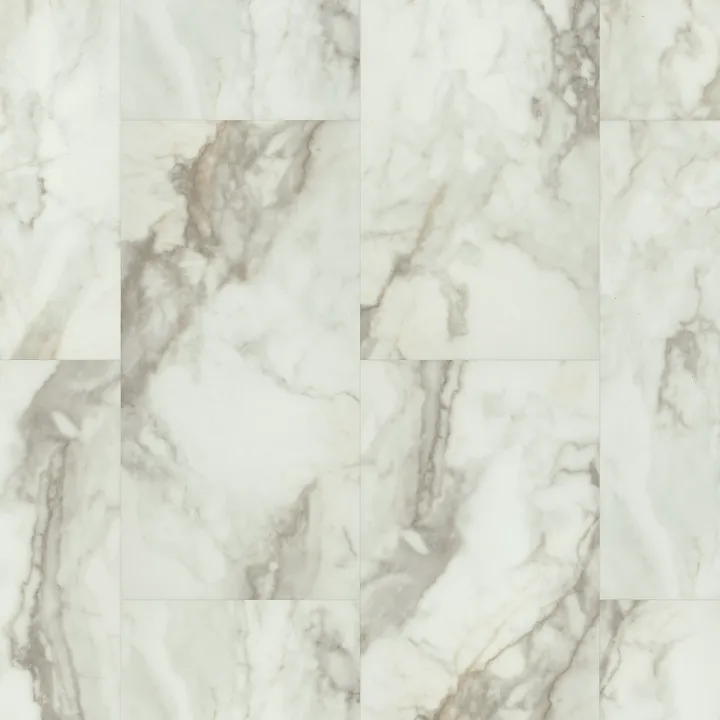 Shaw Floors Apex — Alabaster · 3438V-91100 — flooring selection with LeviArs Design & Remodeling
