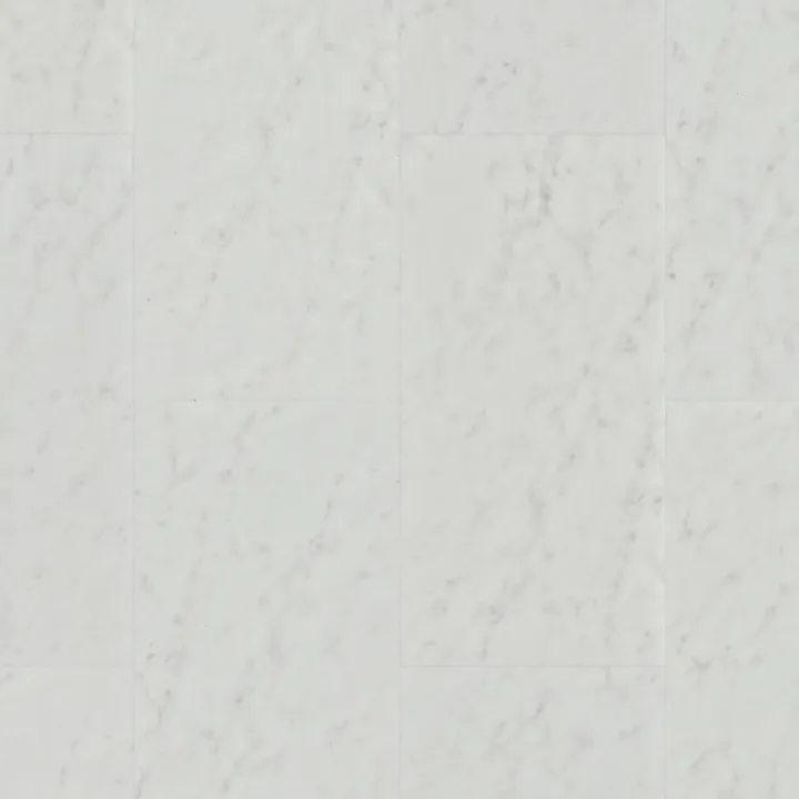 Shaw Floors Apex — Arctic · 3438V-91217 — flooring selection with LeviArs Design & Remodeling