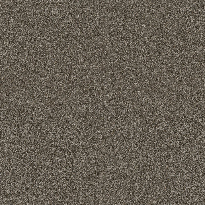 Shaw Floors Artistic Fusion I — Cafe Noir · 5E574-00706 — flooring selection with LeviArs Design & Remodeling