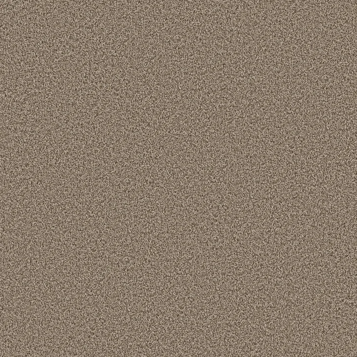 Shaw Floors Artistic Fusion I — Cameo · 5E574-00113 — flooring selection with LeviArs Design & Remodeling