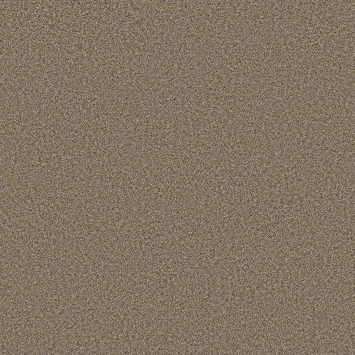 Shaw Floors Artistic Fusion I — Honeycomb · 5E574-00207 — flooring selection with LeviArs Design & Remodeling