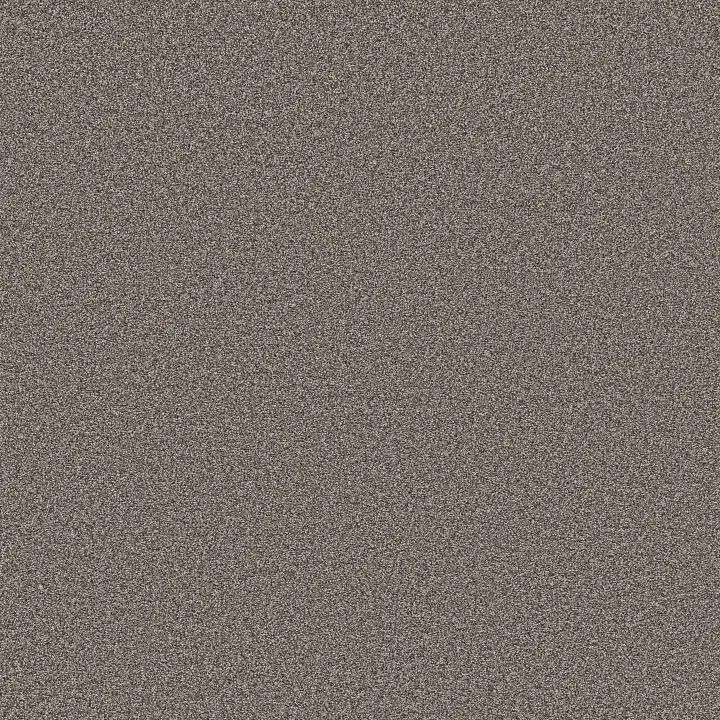 Shaw Floors Artistic Fusion I — Midnight Brown · 5E574-00756 — flooring selection with LeviArs Design & Remodeling