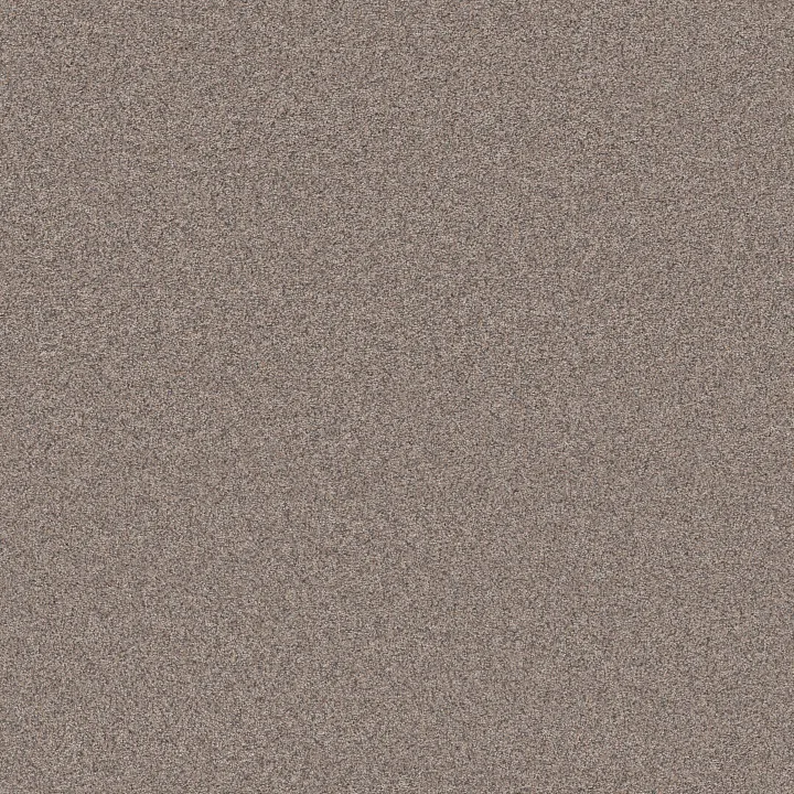 Shaw Floors Artistic Fusion I — Moonwalk · 5E574-00118 — flooring selection with LeviArs Design & Remodeling