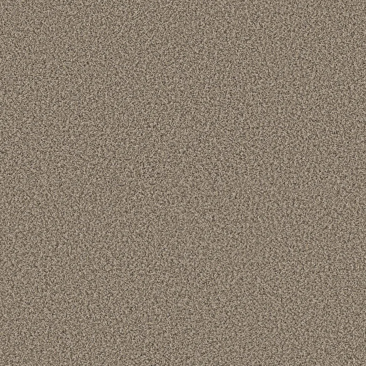 Shaw Floors Artistic Fusion I — Sea Shell · 5E574-00100 — flooring selection with LeviArs Design & Remodeling