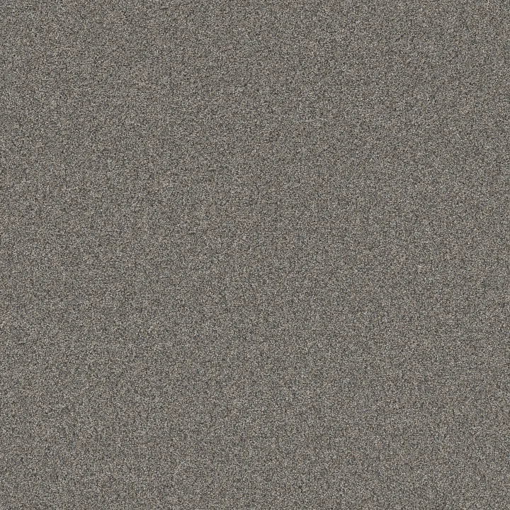 Shaw Floors Artistic Fusion I — Shadow · 5E574-00502 — flooring selection with LeviArs Design & Remodeling