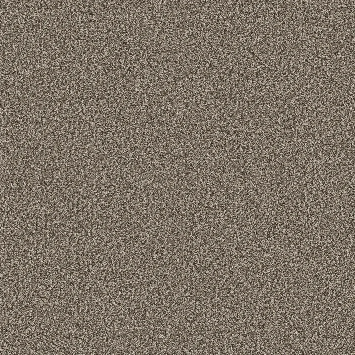 Shaw Floors Artistic Fusion I — Soft Sense · 5E574-00112 — flooring selection with LeviArs Design & Remodeling