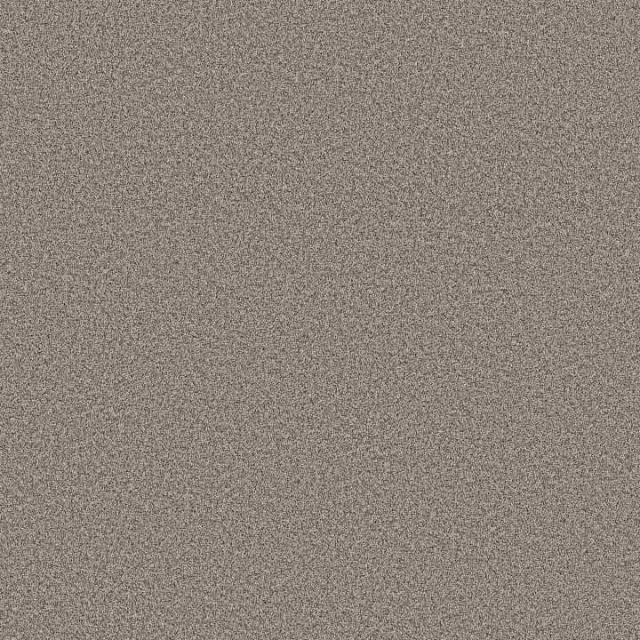 Shaw Floors Artistic Fusion I — Warm Light · 5E574-00116 — flooring selection with LeviArs Design & Remodeling