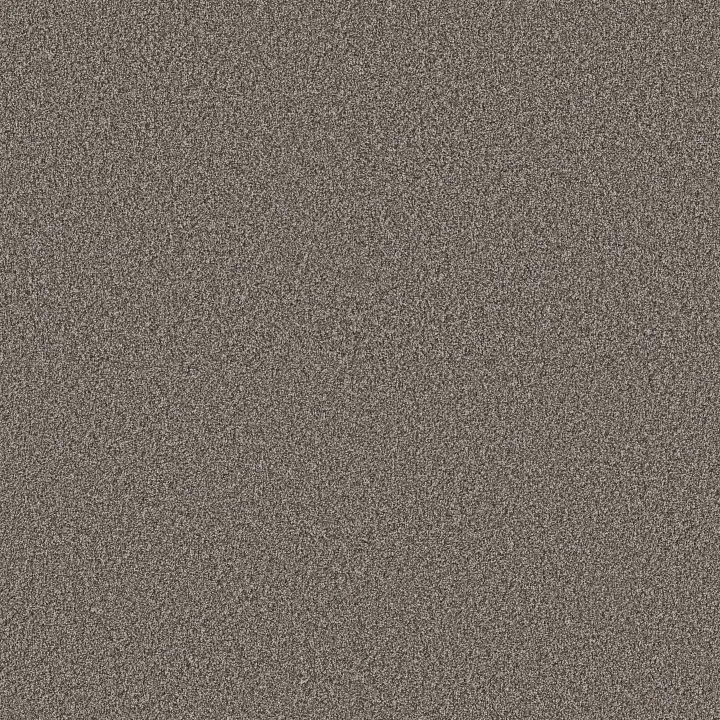 Shaw Floors Artistic Fusion II — Ashes · 5E575-00501 — flooring selection with LeviArs Design & Remodeling