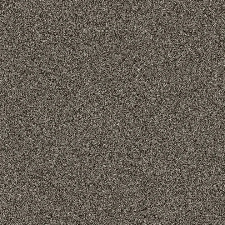 Shaw Floors Artistic Fusion II — Cafe Noir · 5E575-00706 — flooring selection with LeviArs Design & Remodeling