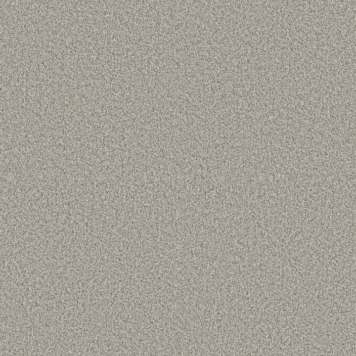 Shaw Floors Artistic Fusion II — Frozen · 5E575-00107 — flooring selection with LeviArs Design & Remodeling