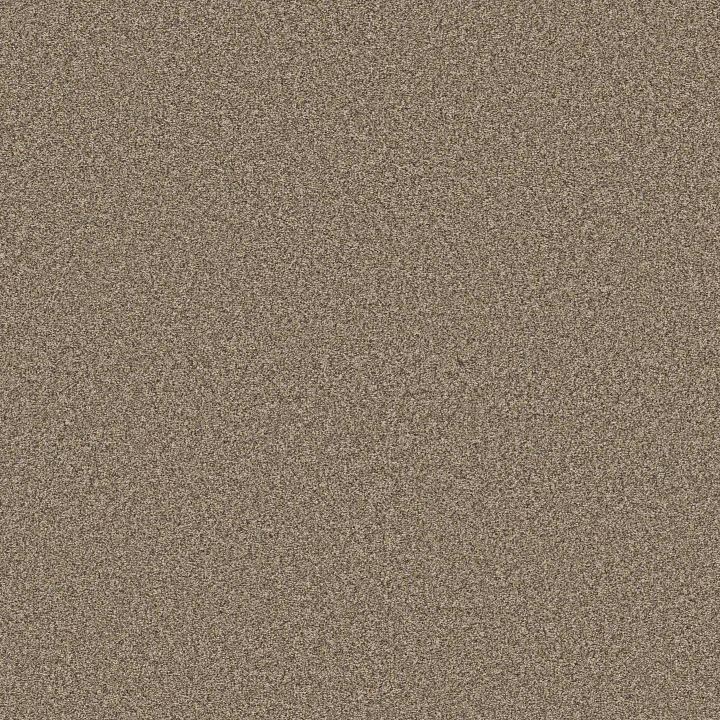 Shaw Floors Artistic Fusion II — Honeycomb · 5E575-00207 — flooring selection with LeviArs Design & Remodeling