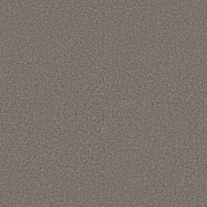 Shaw Floors Artistic Fusion II — Midnight Brown · 5E575-00756 — flooring selection with LeviArs Design & Remodeling