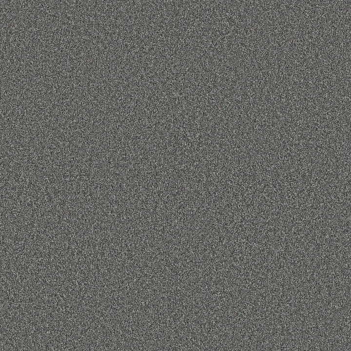 Shaw Floors Artistic Fusion II — Ocean · 5E575-00401 — flooring selection with LeviArs Design & Remodeling