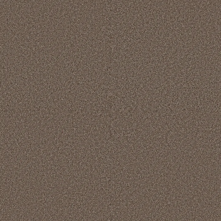 Shaw Floors Artistic Fusion II — Orange Oxide · 5E575-00651 — flooring selection with LeviArs Design & Remodeling
