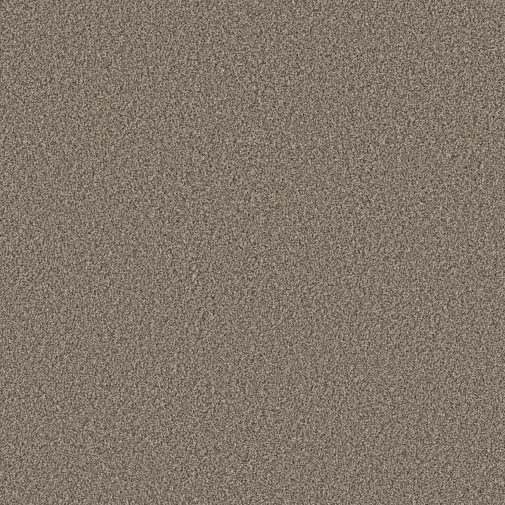 Shaw Floors Artistic Fusion II — Sea Shell · 5E575-00100 — flooring selection with LeviArs Design & Remodeling