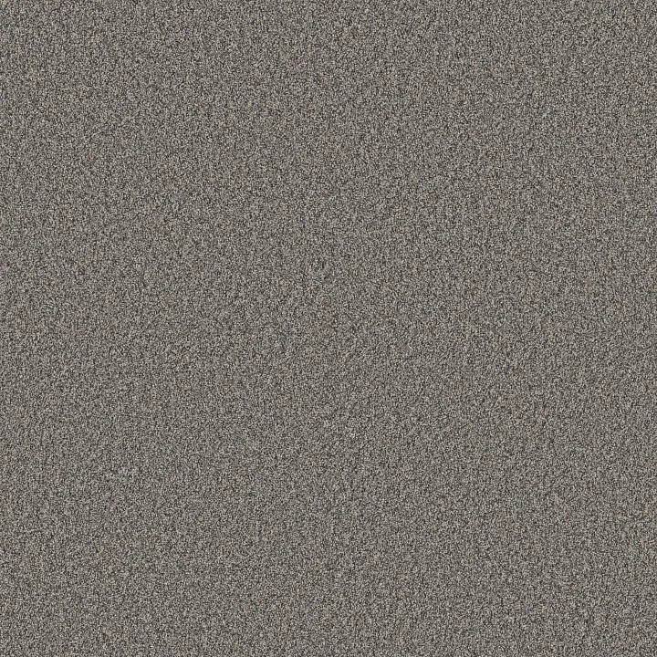 Shaw Floors Artistic Fusion II — Shadow · 5E575-00502 — flooring selection with LeviArs Design & Remodeling
