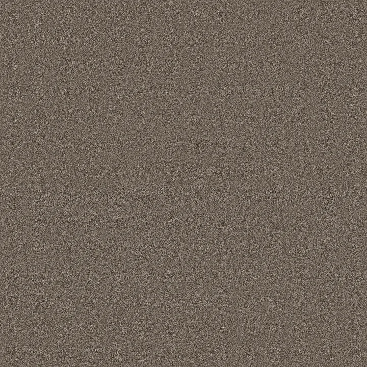 Shaw Floors Artistic Fusion II — Urban Rustic · 5E575-00708 — flooring selection with LeviArs Design & Remodeling