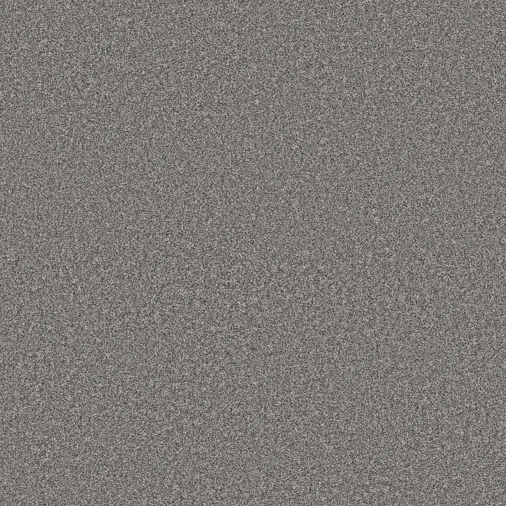 Shaw Floors Artistic Fusion II — Vintage · 5E575-00509 — flooring selection with LeviArs Design & Remodeling