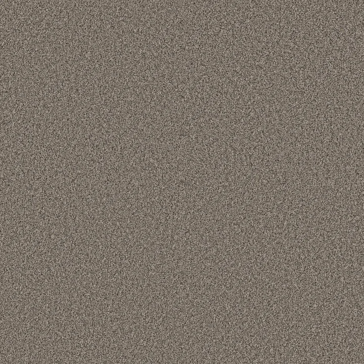 Shaw Floors Artistic Fusion II — Warm Light · 5E575-00116 — flooring selection with LeviArs Design & Remodeling