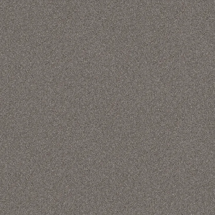 Shaw Floors Attainable — Arctic Shadow · E9965-521T — flooring selection with LeviArs Design & Remodeling
