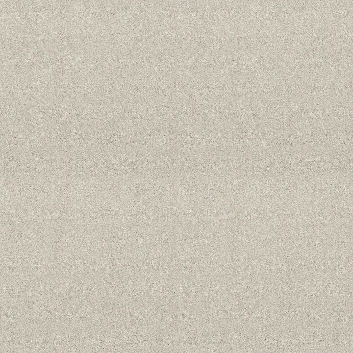 Shaw Floors Attainable — Blizzard · E9965-100S — flooring selection with LeviArs Design & Remodeling