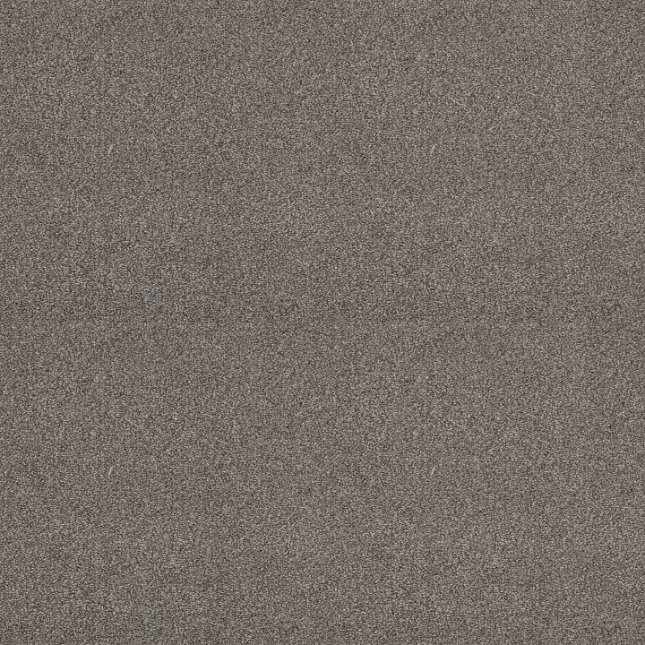 Shaw Floors Attainable — Cedar Ridge · E9965-721T — flooring selection with LeviArs Design & Remodeling