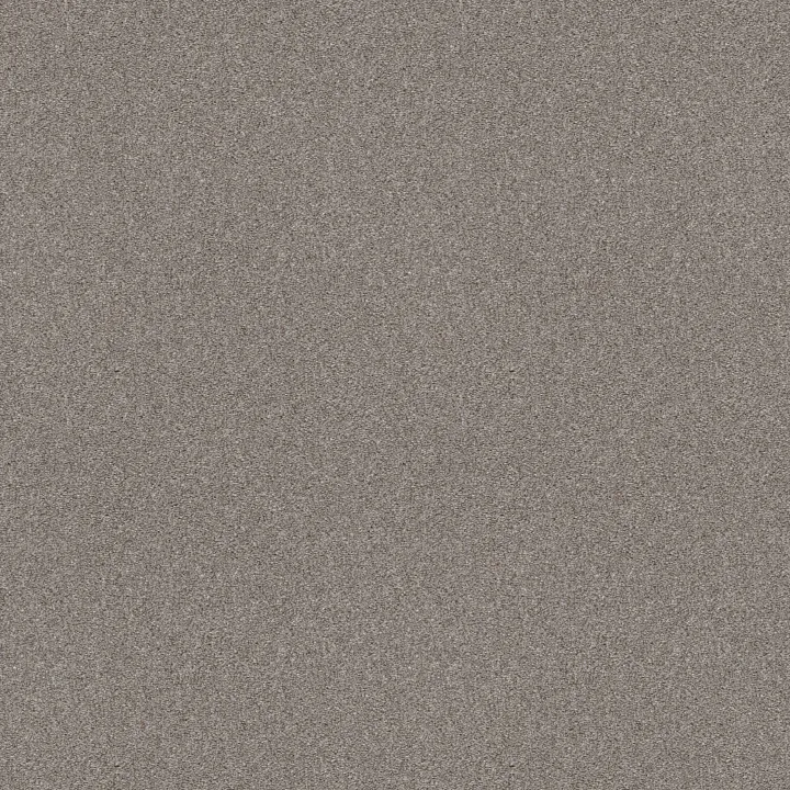 Shaw Floors Attainable — Clay · E9965-122T — flooring selection with LeviArs Design & Remodeling