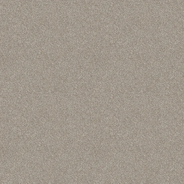 Shaw Floors Attainable — Desert Light · E9965-121T — flooring selection with LeviArs Design & Remodeling