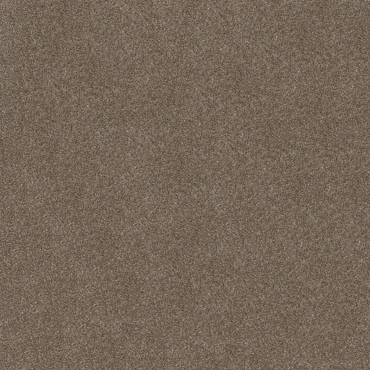 Shaw Floors Attainable — Fox Hollow · E9965-722T — flooring selection with LeviArs Design & Remodeling
