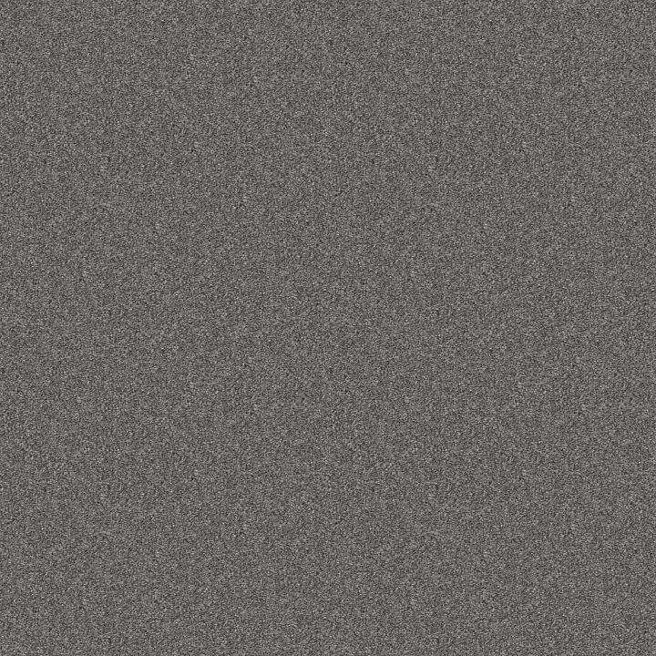 Shaw Floors Attainable — Hearthstone · E9965-522T — flooring selection with LeviArs Design & Remodeling