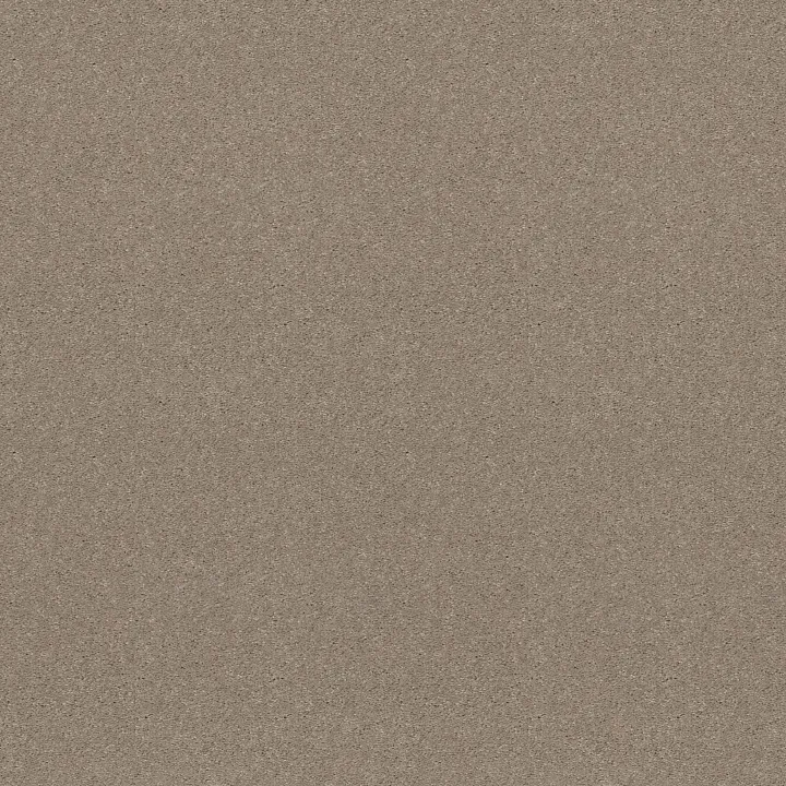 Shaw Floors Attainable — Pebble Path · E9965-101S — flooring selection with LeviArs Design & Remodeling