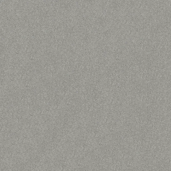 Shaw Floors Attainable — Platinum · E9965-500S — flooring selection with LeviArs Design & Remodeling
