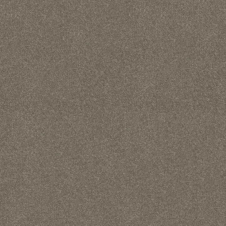 Shaw Floors Attainable — Smooth Taupe · E9965-700S — flooring selection with LeviArs Design & Remodeling