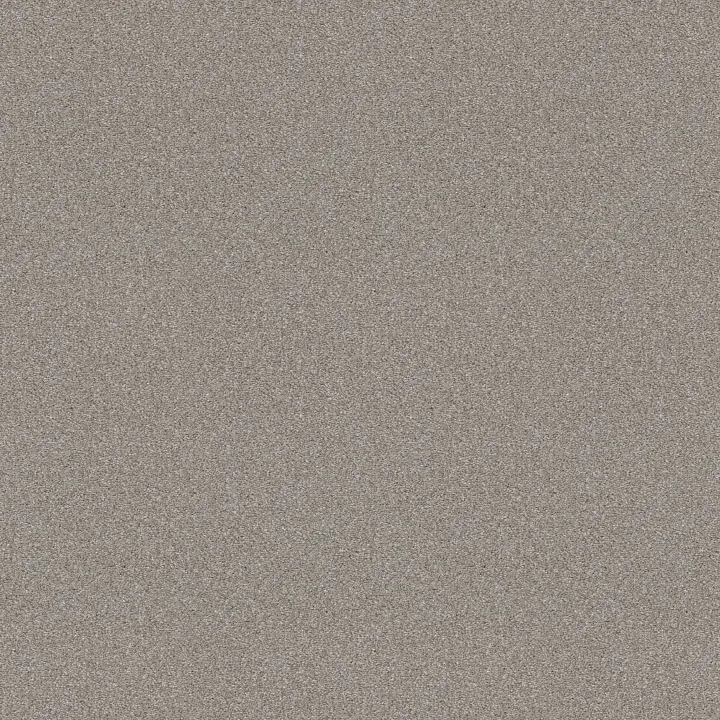 Shaw Floors Attainable — Soft Fleece · E9965-120T — flooring selection with LeviArs Design & Remodeling